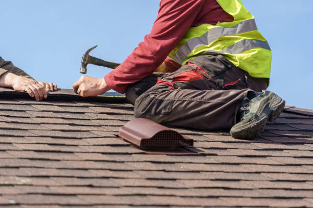 Best Roof Gutter Cleaning  in Vilonia, AR